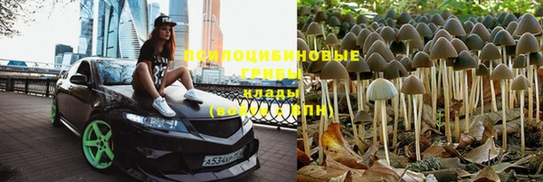 гидропоника Абинск