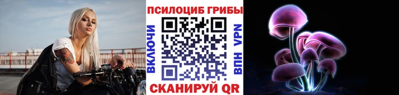 Галлюциногенные грибы Psilocybe  Чита 