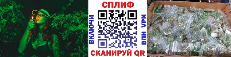 ОМГ ОМГ маркетплейс  Чита  Бошки Шишки гибрид  где найти наркотики 